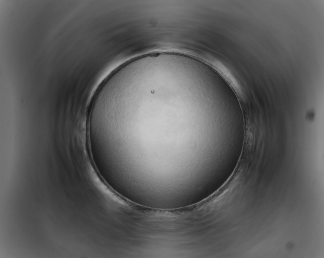 X0000100481100200806201624