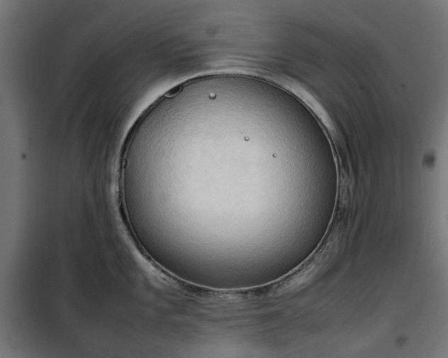 X0000100481101200806201624