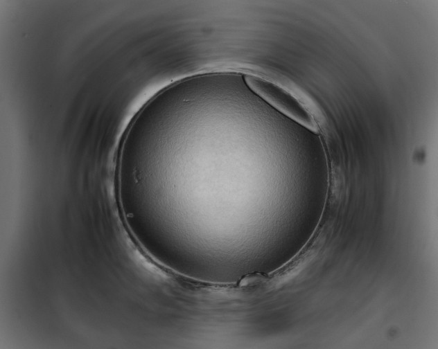 X0000100481102200806201624