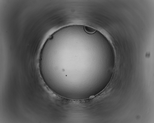 X0000100481104200806201624