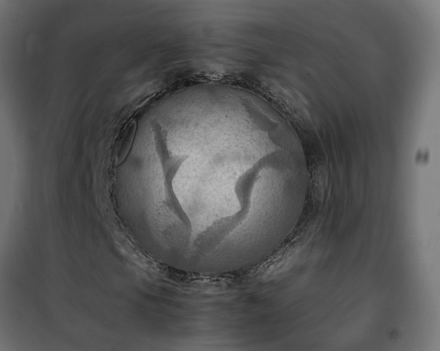 X0000100481105200806201623