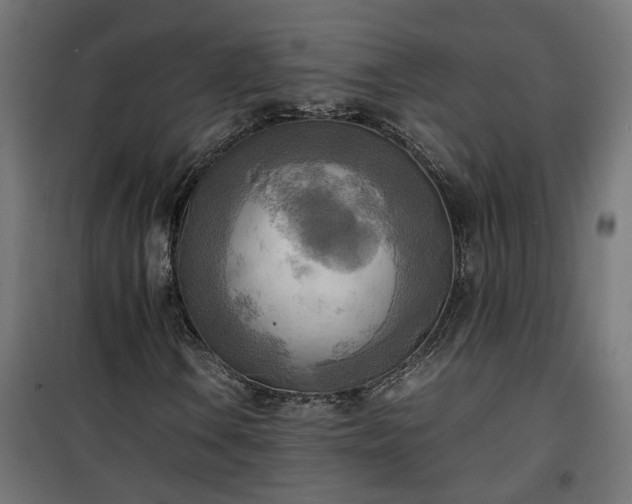 X0000100481106200806201623