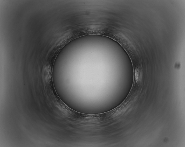 X0000100481107200806201623