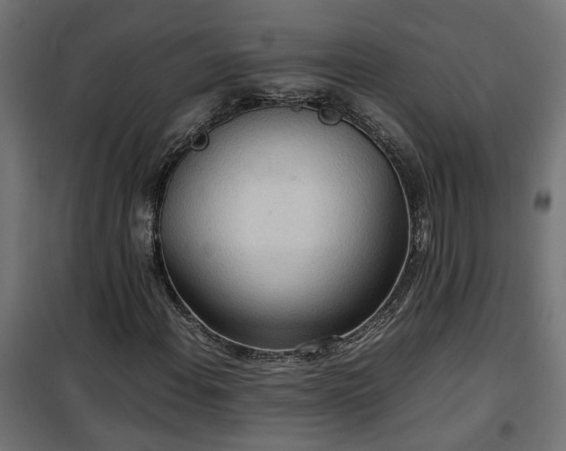 X0000100481108200806201623