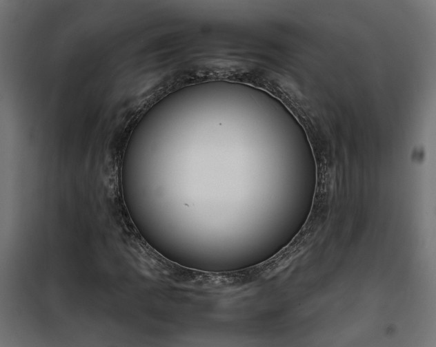 X0000100481109200806201623