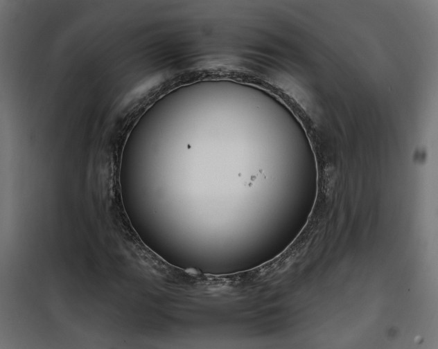 X0000100481111200806201623