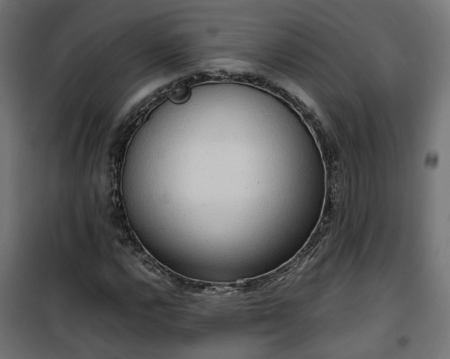 X0000100481112200806201623
