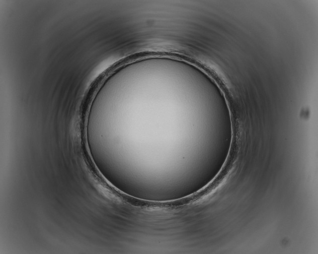 X0000100481114200806201623