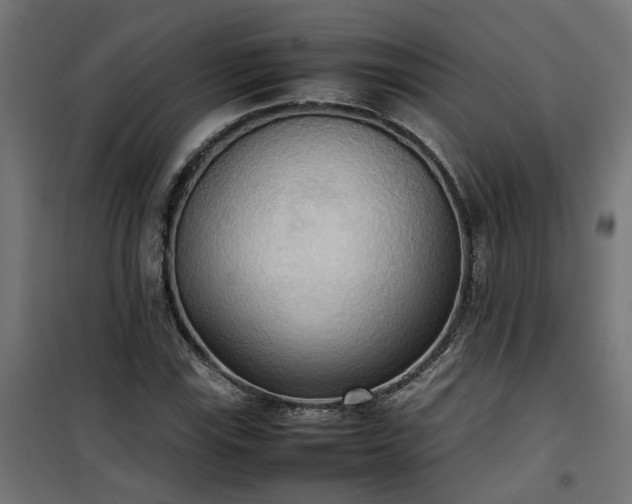 X0000100481115200806201623
