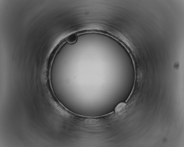 X0000100481116200806201623
