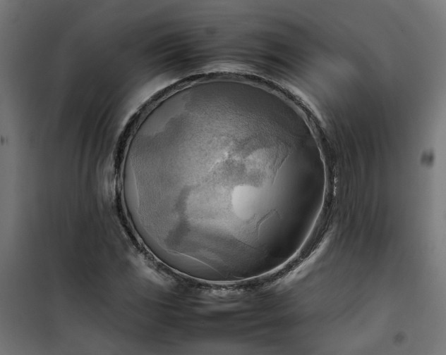 X0000100481117200806201623