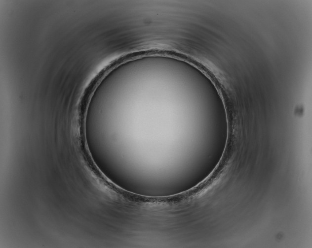 X0000100481118200806201623