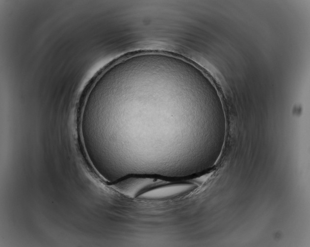 X0000100481120200806201623