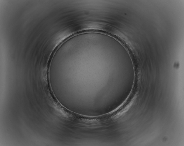 X0000100481121200806201623