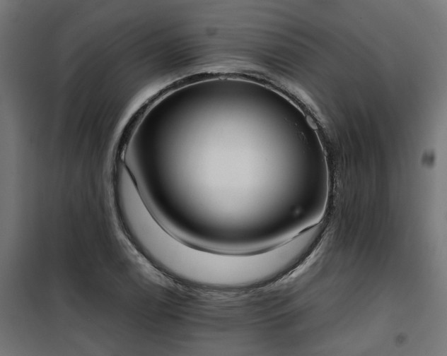 X0000100481122200806201623