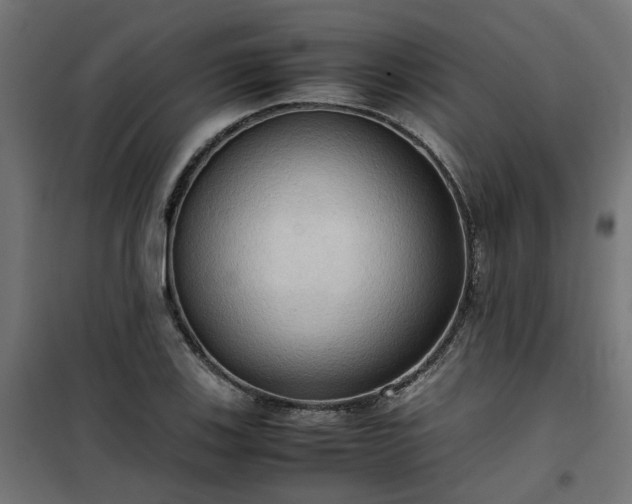 X0000100481123200806201623