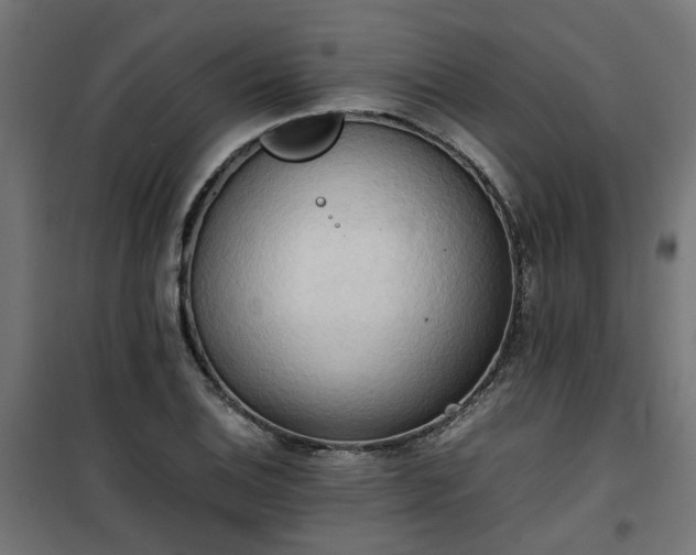 X0000100481124200806201623