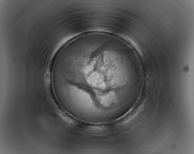 X0000100481125200806201623