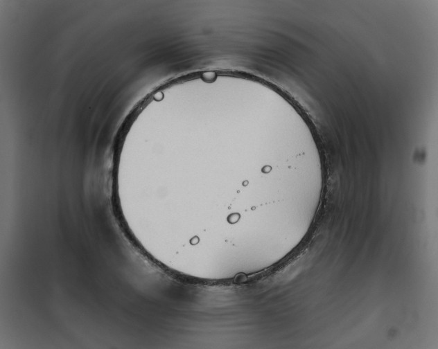 X0000100481126200806201623