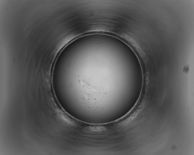 X0000100481129200806201623