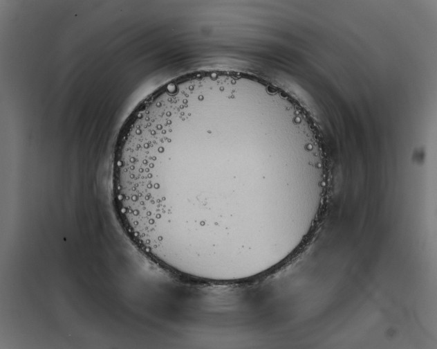 X0000100481130200806201623