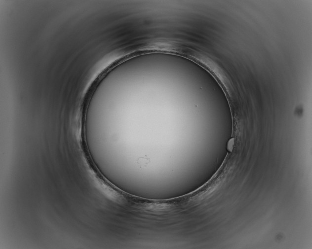 X0000100481131200806201623