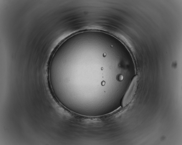 X0000100481133200806201623