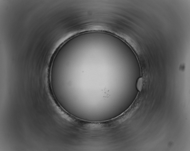 X0000100481134200806201623