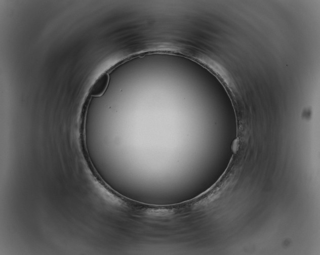 X0000100481135200806201623