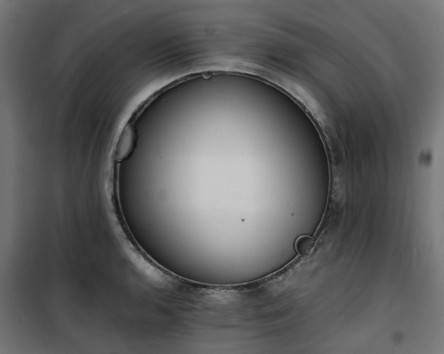 X0000100481136200806201623