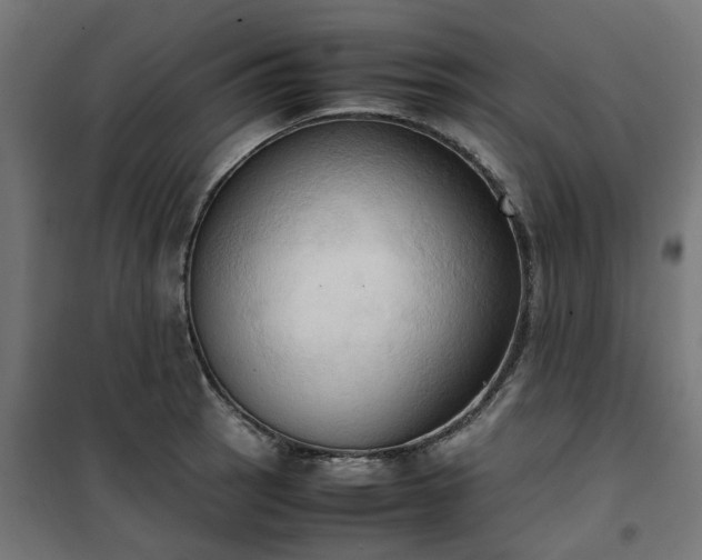 X0000100481137200806201623