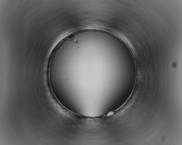 X0000100481138200806201623