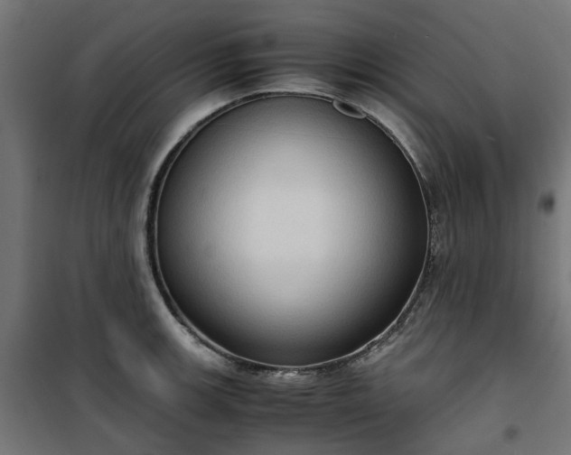 X0000100481139200806201623