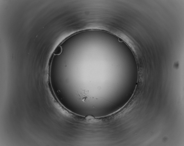 X0000100481140200806201623