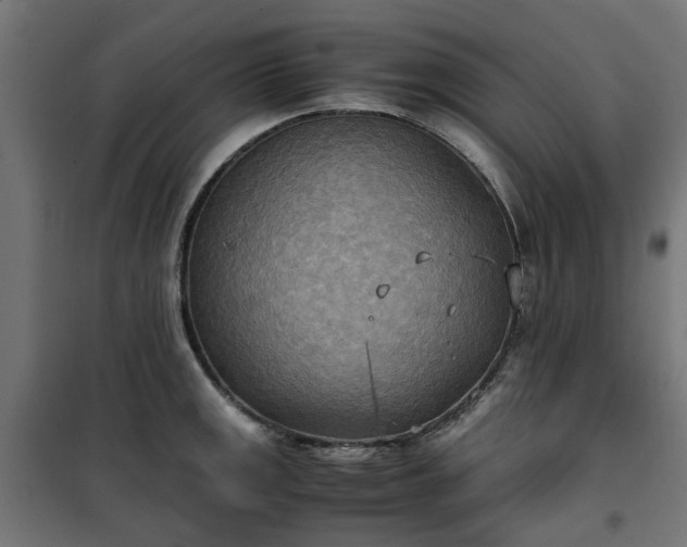 X0000100481141200806201624