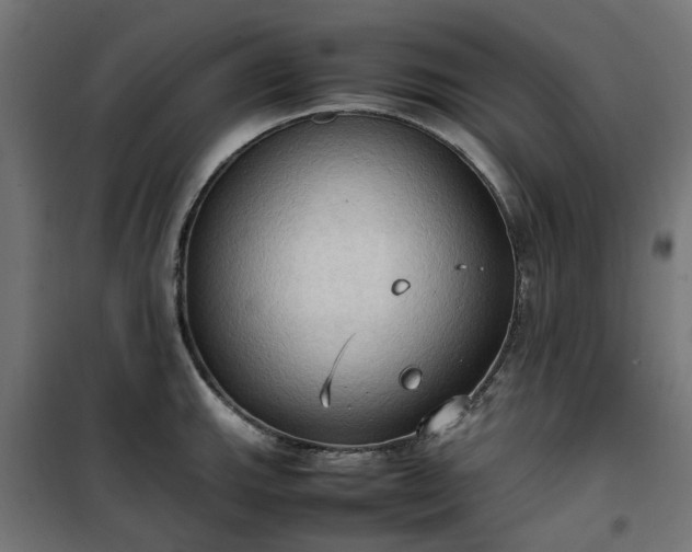 X0000100481143200806201624