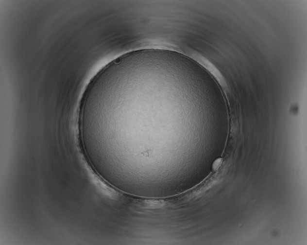X0000100481144200806201624