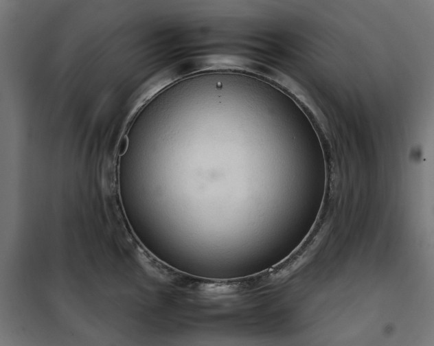 X0000100481145200806201624