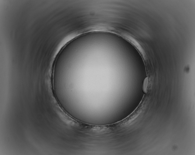 X0000100481146200806201624