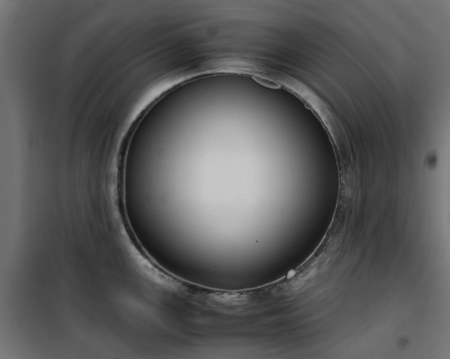 X0000100481147200806201624