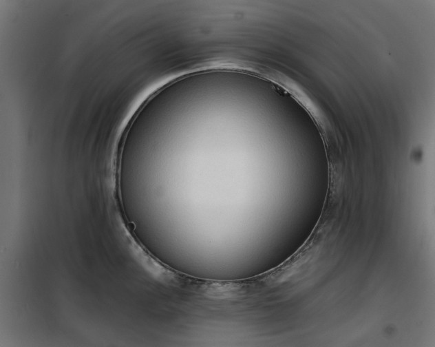 X0000100481148200806201624