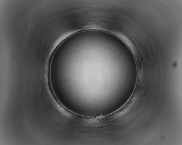 X0000100481149200806201624