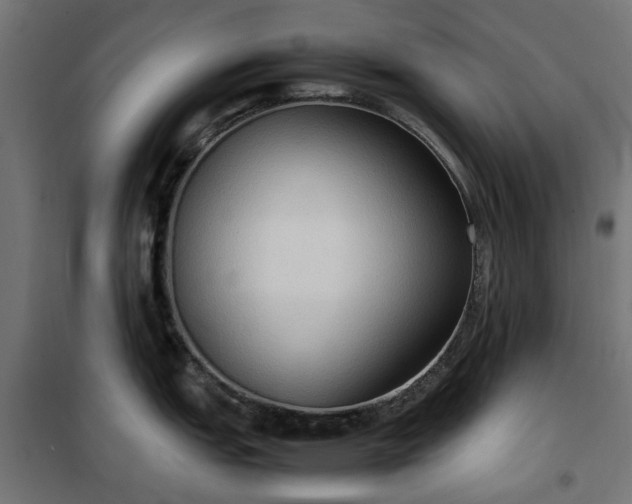 X0000100481151200806201624