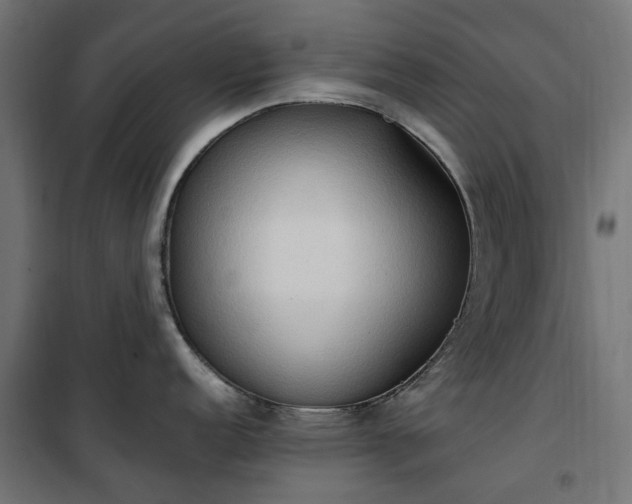 X0000100481152200806201624