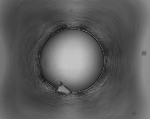 X0000100481153200806201623