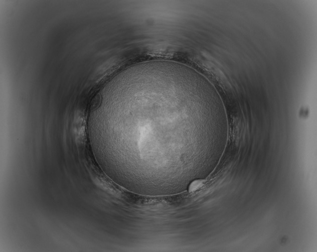 X0000100481154200806201623