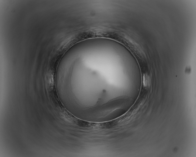 X0000100481155200806201623