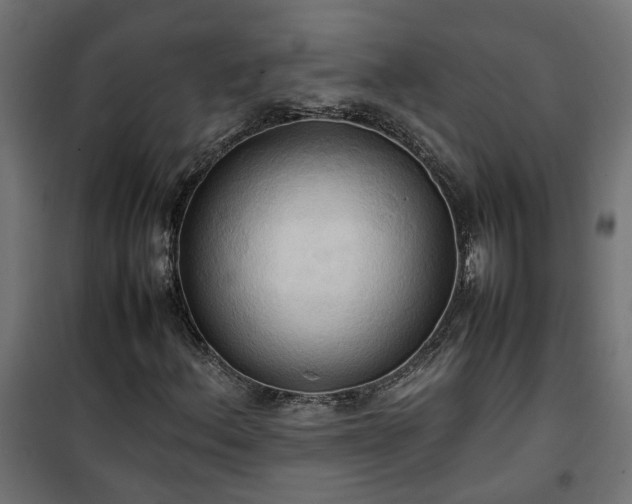 X0000100481156200806201623