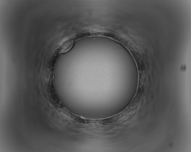 X0000100481157200806201623