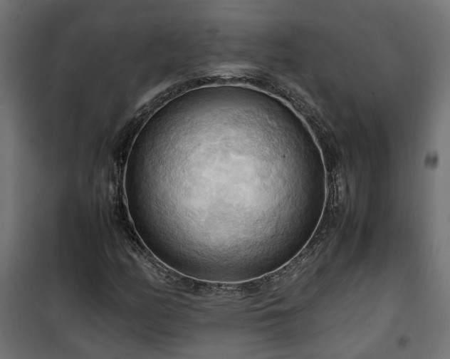 X0000100481158200806201623